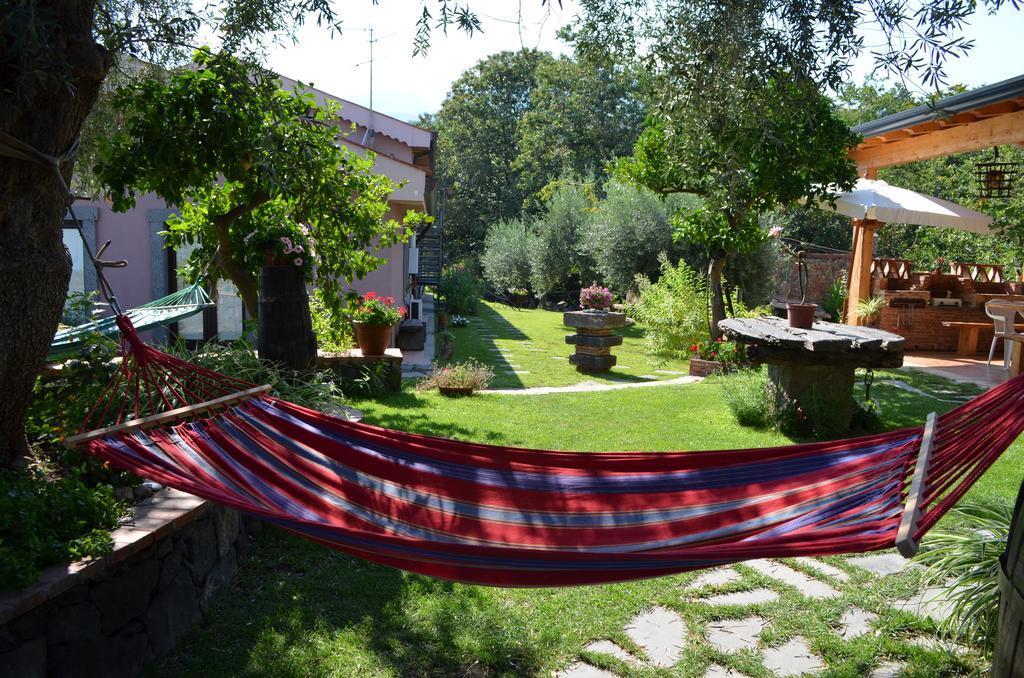 Le Di Bacco Santa Venerina
